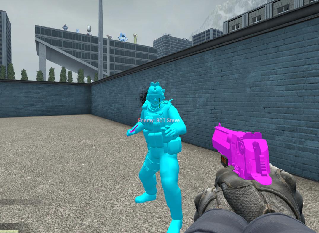 CSGO Chams Nedir?